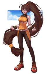 Rule 34 | 1girl, bandaid, bandaid on arm, bandaid on face, bandaid on nose, brown hair, dungeon and fighter, fighter (dungeon and fighter), fingerless gloves, full body, gloves, highres, long hair, ponytail, solo, very long hair, yellow eyes