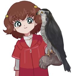 Rule 34 | 1girl, bad id, bad twitter id, bird, blush stickers, brown eyes, brown hair, dot harai, falcon, falconry, female focus, gloves, hamtaro (series), haruna hiroko, highres, inactive account, simple background, smile, solo, tareme, two side up, white background