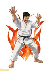 Rule 34 | 1boy, black hair, dougi, fighting stance, judo, judoka, project x zone 2, segata sanshirou