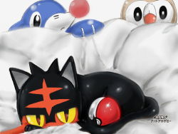 Rule 34 | bed sheet, black eyes, black sclera, closed mouth, colored sclera, creatures (company), game freak, gen 7 pokemon, japanese text, litten, looking at viewer, lying, nintendo, no humans, poke ball, poke ball (basic), pokemon, pokemon (creature), popplio, red eyes, rowlet, shiny skin, sunaxet, translation request, watermark, white background, white eyes, yellow sclera