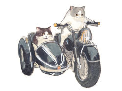Rule 34 | 2others, bicycle, cat, commentary, dawning crow, multiple others, no humans, original, riding, riding bicycle, sidecar, simple background, sketch, white background