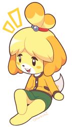 Rule 34 | 1girl, absurdres, animal crossing, animal ears, artist name, barefoot, black eyes, blonde hair, blush stickers, crossed legs, dog ears, dog girl, dog tail, female focus, full body, furry, furry female, green skirt, hair bobbles, hair ornament, hair tie, happy, highres, isabelle (animal crossing), jacket, long sleeves, miniskirt, nintendo, notice lines, open mouth, short hair, signature, simple background, sitting, skirt, smile, solo, starbirbz, tail, teeth, topknot, white background, yellow jacket