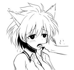 Rule 34 | 1girl, animal ears, blush, finger in another&#039;s mouth, finger in own mouth, greyscale, itamochi, kemonomimi mode, kosegawa shiromi, monochrome, open clothes, open mouth, open shirt, saki (manga), saliva, school uniform, shirt, short hair, simple background, solo, upper body