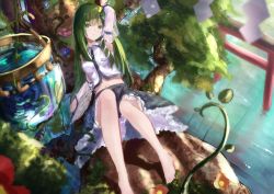 Rule 34 | 1girl, arm up, barefoot, blue skirt, breasts, bucket, closed mouth, commentary request, daisy, day, detached sleeves, expressionless, flower, foot out of frame, frog hair ornament, green eyes, green hair, hair ornament, kochiya sanae, light blush, long hair, medium breasts, midriff, navel, outdoors, pink flower, rei (farta litia), shirt, skirt, solo, torii, touhou, very long hair, water, white shirt