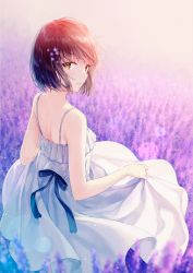 Rule 34 | 1girl, back, bare shoulders, black hair, blue bow, blue ribbon, bob cut, bow, brown eyes, clothes lift, commentary, cowboy shot, dress, dress lift, feet out of frame, field, flower, flower field, from behind, hair flower, hair ornament, hair strand, highres, hiten (hitenkei), lavender (flower), light smile, looking at viewer, looking back, messy hair, original, outdoors, parted lips, purple flower, ribbon, short hair, skirt hold, sleeveless, sleeveless dress, solo, spaghetti strap, standing, sundress, sunset, white dress, wings