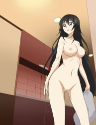 Rule 34 | 10s, black hair, breasts, gluteal fold, highres, infinite stratos, large breasts, nipples, nude, nude filter, pussy, shinonono houki, tagme, third-party edit, uncensored, vector trace