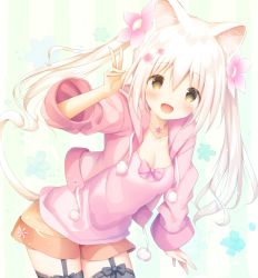 Rule 34 | 1girl, :d, animal ears, bad id, bad pixiv id, black thighhighs, blush, breasts, brown eyes, cleavage, drawstring, flower, garter straps, hair between eyes, hair flower, hair ornament, hood, hood down, hooded jacket, jacket, jewelry, leaning forward, long hair, long sleeves, looking at viewer, murano, necklace, open mouth, orange shorts, original, pink shirt, shirt, short shorts, shorts, sidelocks, smile, solo, thighhighs, twintails, v, white hair, zettai ryouiki
