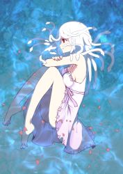 Rule 34 | 1girl, albino, bad id, bad pixiv id, banchii, barefoot, feet, from above, koimonogatari, living hair, long hair, lying, monogatari (series), monster girl, on side, partially submerged, petals, profile, red eyes, sengoku nadeko, snake, snake hair, soles, solo, stress, submerged, toe-point, toe scrunch, toes, water, white hair