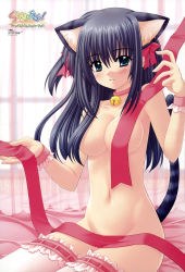 Rule 34 | 00s, 1girl, absurdres, animal ears, bell, neck bell, black hair, blush, breasts, cat ears, cat tail, censored, cleavage, collar, convenient censoring, hair censor, hair over breasts, hair ribbon, highres, jingle bell, long hair, medium breasts, navel, nishimata aoi, nude, ribbon, shuffle!, shuffle! essence+, sitting, solo, tail, thighhighs, yae sakura