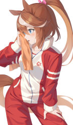 Rule 34 | 1girl, animal ears, blue eyes, brown hair, collarbone, hachinatsu, hair between eyes, hand on own thigh, highres, holding, holding towel, horse ears, horse girl, horse tail, jacket, long sleeves, looking to the side, multicolored hair, ponytail, simple background, solo, streaked hair, tail, tokai teio (umamusume), towel, track jacket, umamusume, white background, white hair