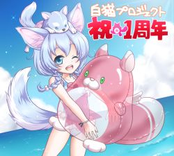 Rule 34 | 1girl, ;d, animal, animal ears, animal on head, anniversary, blue eyes, blue hair, blue one-piece swimsuit, braid, copyright name, dog, dog ears, dog on head, dog tail, hoshi tanuki (shironeko project), inflatable toy, koyomi (shironeko project), mori marimo, ocean, on head, one-piece swimsuit, one eye closed, open mouth, shironeko project, sky, smile, summer, swimsuit, tail, tarou (shironeko project), twin braids, water, wolf, wolf ears, wolf tail