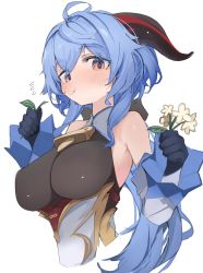 Rule 34 | 1girl, ahoge, bare shoulders, bell, blue hair, blush, breasts, commentary request, detached sleeves, eating, eating flower, eyelashes, eyes visible through hair, flower, ganyu (genshin impact), genshin impact, gloves, hair between eyes, highres, holding, holding flower, horns, large breasts, long hair, looking at viewer, mikozin, neck bell, qingxin flower, red eyes, sidelocks, solo, sweatdrop, white background, white flower, white sleeves