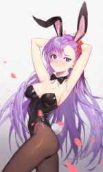 Rule 34 | 1girl, absurdres, alternate breast size, animal ears, arm behind head, arms up, artist request, black pantyhose, blush, breasts, extra ears, fake animal ears, fake tail, fate/grand order, fate (series), hair ribbon, highres, leotard, long hair, looking at viewer, meltryllis (fate), pantyhose, petals, playboy bunny, purple eyes, purple hair, rabbit ears, rabbit tail, ribbon, simple background, solo, sugarhigh, tail, thighs, white background