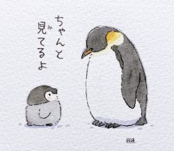 Rule 34 | animal, animal focus, baby penguin, bird, blush, chick, emperor penguin, highres, looking at another, no humans, original, painting (medium), penguin, rurutea, signature, simple background, tagme, traditional media, translation request, watercolor (medium), white background