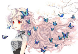 Rule 34 | 1girl, blonde hair, branch, bug, butterfly, butterfly on head, choker, floating hair, flower, gradient hair, insect, long hair, mintchoco (orange shabette), multicolored hair, original, parted lips, pink hair, red eyes, ribbon choker, silver hair, solo, too many, too many butterflies, very long hair