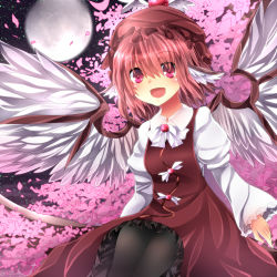 Rule 34 | 1girl, :d, animal ears, black pantyhose, cherry blossoms, dress, hat, highres, in tree, moon, mystia lorelei, night, open mouth, pantyhose, pink eyes, pink hair, pink theme, sitting, sitting in tree, smile, solo, touhou, tree, xe-cox
