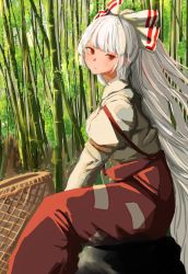 Rule 34 | 1girl, baggy pants, bamboo, bamboo forest, basket, blush, bow, closed mouth, collared shirt, commentary request, forest, fujiwara no mokou, grey hair, grey shirt, hair bow, highres, juliet sleeves, leaf, long hair, long sleeves, looking back, looking to the side, mesuosushi, multicolored bow, nature, ofuda, ofuda on clothes, outdoors, pants, puffy long sleeves, puffy sleeves, red bow, red eyes, red pants, rock, shirt, sitting, solo, suspenders, touhou, white bow