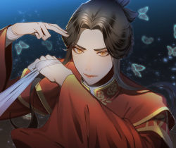 Rule 34 | 1boy, beaugi, black hair, brown eyes, bug, butterfly, chinese clothes, highres, insect, long hair, looking at viewer, male focus, solo, tianguan cifu, upper body, wide sleeves