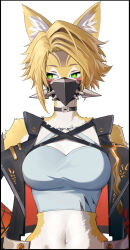 1girl animal_ear_fluff blonde_hair breasts furry furry_female green_eyes highres large_breasts looking_to_the_side mask mouth_mask navel pulchra pulchra_(zenless_zone_zero) raven_dolostar simple_background solo upper_body white_background zenless_zone_zero