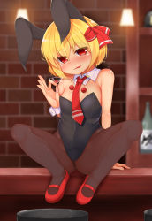 Rule 34 | 1girl, animal ears, ass, bare arms, bare shoulders, blonde hair, blurry, blush, brown pantyhose, daichi (tokoya), detached collar, fake animal ears, full-face blush, full body, hair ribbon, head tilt, highleg, highres, indoors, leotard, looking at viewer, mary janes, necktie, pantyhose, playboy bunny, rabbit ears, red eyes, ribbon, rumia, shoes, short hair, sitting, smile, solo, tokoya, tongue, tongue out, touhou, wrist cuffs