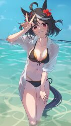 Rule 34 | 1girl, absurdres, alternate costume, animal ears, bikini, black bikini, black hair, blue sky, blush, breasts, collared shirt, commentary request, flower, hair flower, hair ornament, hand up, highres, horizon, horse ears, horse girl, horse tail, kitasan black (umamusume), looking at viewer, multicolored hair, navel, ocean, open clothes, open shirt, outdoors, red eyes, red flower, shirt, short hair, sky, sleeves rolled up, small breasts, smile, solo, stomach, streaked hair, swimsuit, tail, two side up, umamusume, v, wading, white hair, white shirt, yakousei a