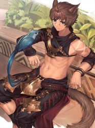 Rule 34 | 1boy, animal ears, animal on arm, bangle, bird, bird on arm, blue bird, blue eyes, bracelet, cape, closed mouth, commentary request, crop top, day, final fantasy, final fantasy xiv, gauntlets, gold, highres, jewelry, linea alba, looking at viewer, male focus, meteion, miqo&#039;te, muscular, navel, nayoshi (r-744), plant, red cape, short hair, sitting, slit pupils, solo, tail, waist cape, warrior of light (ff14)