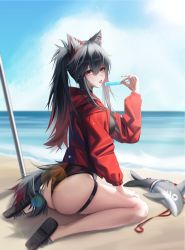 Rule 34 | 1girl, absurdres, alternate costume, animal ears, arknights, ass, beach, beach umbrella, black footwear, black hair, black one-piece swimsuit, casual one-piece swimsuit, day, ear piercing, fish, food, from behind, highres, holding food, holding ice cream, ice cream, jacket, long sleeves, looking at viewer, looking back, multicolored hair, ocean, one-piece swimsuit, open clothes, open jacket, outdoors, piercing, popsicle, red hair, red jacket, sand, sandals, shokuyou koori, sitting, solo, streaked hair, sunlight, swimsuit, tail, texas (arknights), tongue, tongue out, umbrella, wariza, water, wolf ears, wolf girl, wolf tail, yellow eyes