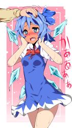 Rule 34 | 1girl, absurdres, bad id, bad pixiv id, blue eyes, blue hair, blush, bow, cirno, dress, fang, full-face blush, hair bow, hand on another&#039;s head, hands on own face, head pat, headpat, highres, ice, melting, open mouth, oriennto, red faced, short hair, solo focus, touhou, wavy mouth, wings