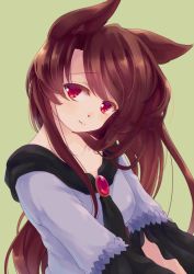 Rule 34 | 1girl, animal ears, brown hair, dress, green background, imaizumi kagerou, iris anemone, jewelry, long hair, long sleeves, looking at viewer, red eyes, simple background, solo, touhou, upper body, wolf ears