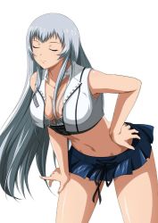 Rule 34 | 00s, 1girl, black ribbon, blue skirt, breasts, chouun shiryuu, cleavage, closed eyes, collarbone, groin, hand on own hip, ikkitousen, jpeg artifacts, large breasts, leaning forward, long hair, navel, official art, ribbon, shiny skin, silver hair, simple background, skirt, smile, solo, standing, white background