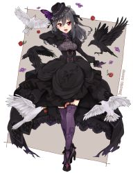 Rule 34 | 10s, 1girl, :d, animal, arm at side, arm up, bad id, bad pixiv id, beak, bird, black footwear, black hair, black hat, black ribbon, bug, butterfly, butterfly hair ornament, buttons, center frills, character name, crow, flower, flying, framed breasts, frills, full body, garter straps, gem, gloves, goth fashion, gothic lolita, hair between eyes, hair ornament, hair ribbon, hat, high heels, highres, honeycomb (pattern), honeycomb print, idolmaster, idolmaster cinderella girls, idolmaster cinderella girls starlight stage, insect, juliet sleeves, kanzaki ranko, lolita fashion, long hair, long sleeves, looking at viewer, mouth hold, open mouth, pearl (gemstone), puffy dress, puffy sleeves, purin (purin0), purple gloves, purple thighhighs, red eyes, red flower, red gemstone, red rose, ribbon, rose, shoes, simple background, smile, solo, talons, thighhighs, two-tone background, underbust, zettai ryouiki