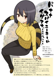 Rule 34 | 1girl, bob cut, character profile, full body, gujira, iguana, lizard, personification, ribbed sweater, sitting, solo, striped tail, sweater, tail, translation request, turtleneck, white background
