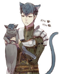 Rule 34 | 1boy, akke, animal ears, armor, black hair, blue hair, cat, cat ears, cat tail, fang, fire emblem, fire emblem echoes: shadows of valentia, male focus, multicolored hair, nintendo, python (fire emblem), simple background, solo, tail, two-tone hair, upper body, white background