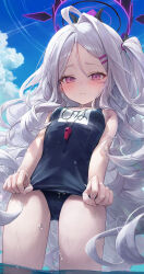 Rule 34 | 1girl, bare arms, bare legs, bare shoulders, black horns, black one-piece swimsuit, blue archive, blue sky, blush, breasts, closed mouth, cowboy shot, demon horns, grey hair, hair ornament, hairclip, halo, highres, hina (blue archive), hina (swimsuit) (blue archive), horns, long hair, looking at viewer, name tag, official alternate costume, old school swimsuit, one-piece swimsuit, outdoors, purple eyes, r o ha, school swimsuit, sky, small breasts, solo, swimsuit, wading, water, wet, whistle, whistle around neck