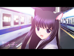 Rule 34 | 1girl, animal ears, cat ears, female focus, letterboxed, original, purple eyes, purple hair, solo, tactile paving, train, train station, yamaguchi takashi, yamaguchi yuu