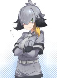 Rule 34 | 1girl, belt, black gloves, blue background, closed mouth, cowboy shot, crossed arms, flying sweatdrops, gloves, green eyes, grey hair, grey jacket, grey shorts, hair between eyes, halftone, halftone background, highres, jacket, kemono friends, looking at viewer, multicolored hair, necktie, reiga (act000), sanpaku, shoebill (kemono friends), short sleeves, shorts, side ponytail, solo, white belt, white necktie
