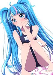 Rule 34 | 1girl, absurdres, ahoge, alternate costume, arm support, barefoot, blue eyes, blue hair, blue one-piece swimsuit, commentary request, cure sky, cut bangs, dutch angle, feet, gradient hair, highres, hirogaru sky! precure, long hair, magical girl, multicolored hair, one-piece swimsuit, pink hair, precure, s-operator, school swimsuit, simple background, smile, solo, sora harewataru, squatting, swimsuit, toenails, toes, twintails, two-tone hair, wet, white background