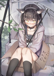 Rule 34 | 1girl, absurdres, animal ear fluff, animal ears, black choker, black hair, black legwear, blush, box, cardboard box, cat ears, cat girl, choker, closed mouth, collarbone, commentary request, extra ears, feet out of frame, grey jacket, highres, huge filesize, jacket, long hair, long sleeves, looking at viewer, mochi nabe, open clothes, original, outdoors, rain, sailor collar, school uniform, serafuku, shirt, sitting, skirt, solo, stairs, translation request, transparent, transparent umbrella, umbrella, white shirt