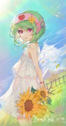 Rule 34 | 1girl, bare shoulders, bird, blue sky, building, character request, cloud, copyright request, cowboy shot, dated, day, dot nose, dress, english text, fence, flower, grass, green hair, hair flower, hair ornament, hair tie, hairband, heart, highres, holding, holding flower, looking at viewer, looking back, mountain, mountainous horizon, multicolored sky, outdoors, parted lips, pink eyes, pink hairband, short hair, sky, solo, standing, sunflower, taoer., white dress