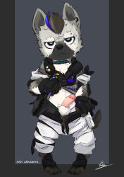 Rule 34 | 1boy, absurdres, arknights, character name, chibi, claws, clothes lift, clothes pull, commentary, copyright name, earrings, english commentary, erection, eyebrow piercing, furry, furry male, grey shirt, highres, hyena boy, hyena ears, hyena tail, infection monitor (arknights), jewelry, looking at viewer, male focus, multicolored hair, nutto naan, pants, pants pull, penis, piercing, shirt, shirt lift, signature, spot (arknights), streaked hair, testicles, white pants