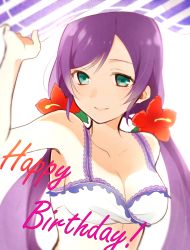 Rule 34 | 10s, 1girl, bad id, bad pixiv id, bikini, breasts, chisumi, cleavage, green eyes, happy birthday, long hair, love live!, love live! school idol festival, love live! school idol project, medium breasts, purple hair, simple background, smile, solo, swimsuit, tojo nozomi, twintails