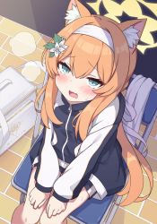 Rule 34 | 1girl, animal ear fluff, animal ears, blue archive, blue eyes, blush, chair, commentary request, dutch angle, flower, folding chair, fox ears, fox girl, from above, gym uniform, hair flower, hair intakes, hair ornament, hairband, highres, lolikaku, long hair, looking at viewer, mari (blue archive), mari (track) (blue archive), open mouth, orange hair, sitting, solo, sportswear, sweat, wavy mouth