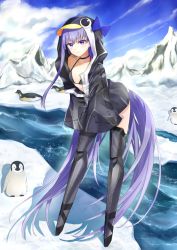 Rule 34 | 1girl, absurdly long hair, animal hood, armor, bare shoulders, bikini, bird, black bikini, black jacket, blue bow, blue eyes, blue sky, blush, bow, breasts, choker, collarbone, fate/grand order, fate (series), full body, greaves, hair between eyes, hei kuang jun, highres, hood, jacket, long hair, long sleeves, looking at viewer, meltryllis, meltryllis (fate), meltryllis (swimsuit lancer) (fate), meltryllis (swimsuit lancer) (first ascension) (fate), partially unzipped, penguin, penguin hood, purple hair, sky, sleeves past fingers, sleeves past wrists, small breasts, smile, swimsuit, thighs, very long hair, water
