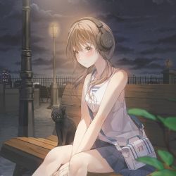 Rule 34 | 1girl, absurdres, bare shoulders, between legs, black cat, black sky, blue skirt, blue sky, blush, bra, brown hair, cat, closed mouth, cloud, cloudy sky, hair over shoulder, hand between legs, headphones, highres, lamppost, medium hair, night, night sky, on bench, original, patch oxxo, pleated skirt, shirt, sitting, skirt, sky, sleeveless, sleeveless shirt, solo, striped bra, striped clothes, twintails, underwear, white shirt