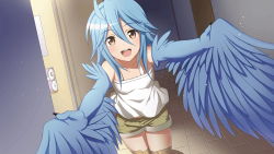 Rule 34 | 1girl, ahoge, artist request, bare shoulders, bird legs, blue hair, blue wings, blush, breasts, feathered wings, feathers, game cg, hair between eyes, harpy, incoming hug, looking at viewer, monster girl, monster musume no iru nichijou, monster musume no iru nichijou online, official art, open mouth, outstretched arms, papi (monster musume), small breasts, tank top, white tank top, winged arms, wings, yellow eyes