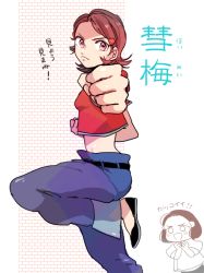 Rule 34 | 2girls, chinese clothes, clenched hands, crop top, ekubo (ciaobero), fighting stance, houmei (street fighter), midriff, multiple girls, shaomei (street fighter), siblings, sisters, solo focus, standing, standing on one leg, street fighter, street fighter iii (series), translation request