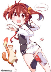 Rule 34 | 1girl, :d, ass, bad id, bad pixiv id, blush, brown eyes, brown hair, ferret, from behind, hadouken, heart, isshiki akane, isshiki kenjirou, kitahara tomoe (kitahara koubou), looking at viewer, looking back, open mouth, otter, school uniform, scrunchie, shoes, short hair, short shorts, shorts, shouryuuken, smile, sneakers, solo, twintails, uppercut, uso-kun, vividred operation