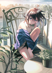 Rule 34 | 1girl, ahoge, bad id, bad pixiv id, black hair, blue eyes, blue jacket, blush, building, chair, closed mouth, highres, jacket, jacket on shoulders, knee up, koh rd, leaf, looking to the side, medium hair, original, outdoors, plant, potted plant, shirt, sitting, sky, sleeveless, sleeveless shirt, solo, table, white shirt