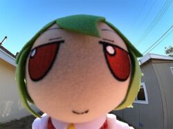 Rule 34 | 1girl, blue sky, cable, clear sky, close-up, fisheye, floor, fumo (doll), green hair, kazami yuuka, looking at viewer, photo (medium), portrait, real life, red eyes, shack, sky, smile, solo, source request, touhou, tree