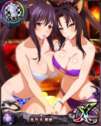 Rule 34 | 2girls, animal ears, bikini, black hair, breasts, card (medium), cat ears, cat girl, cat tail, character name, chess piece, cleavage, hair rings, high school dxd, high school dxd cross, himejima akeno, kuroka (high school dxd), large breasts, long hair, multiple girls, official art, ponytail, purple eyes, queen (chess), swimsuit, tail, trading card, yellow eyes